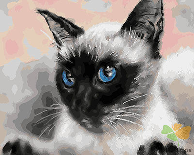 Cat & Dog Paint By Numbers Kits UK GX27452