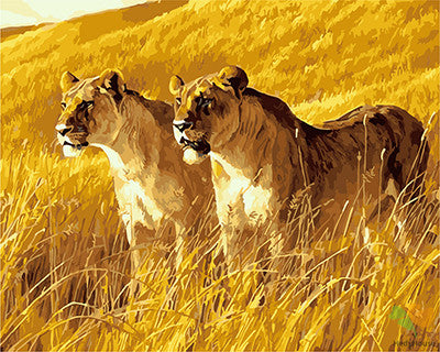 Animal Paint By Numbers Kits UK GX27465