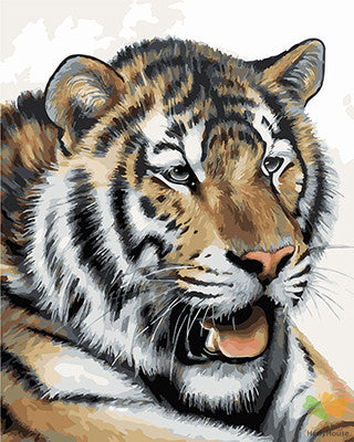 Animal Paint By Numbers Kits UK GX27474