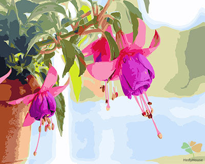 Flower Paint By Numbers Kits UK GX27503