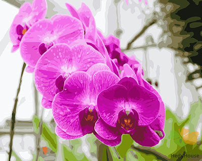 Flower Paint By Numbers Kits UK GX27504