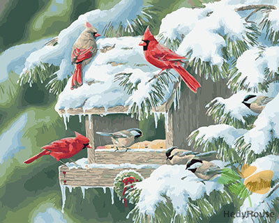 Birds Paint By Numbers Kits UK GX27505