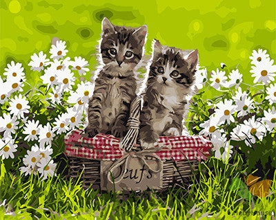 Cat & Dog Paint By Numbers Kits UK GX27519