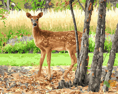 Animal Paint By Numbers Kits UK GX27521