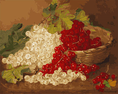 Still Life Paint By Numbers Kits UK GX27544