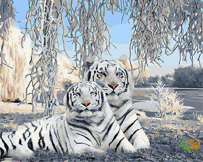 Animal Paint By Numbers Kits UK GX27562