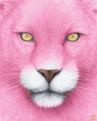 Colorful Paint By Numbers Kits UK GX27593