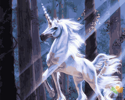 Animal Paint By Numbers Kits UK GX27604