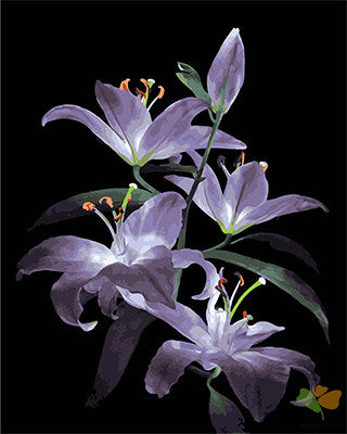 Flower Paint By Numbers Kits UK GX27610