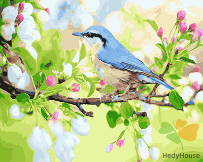 Birds Paint By Numbers Kits UK GX27629