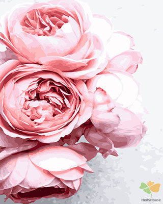 Flower Paint By Numbers Kits UK GX27648