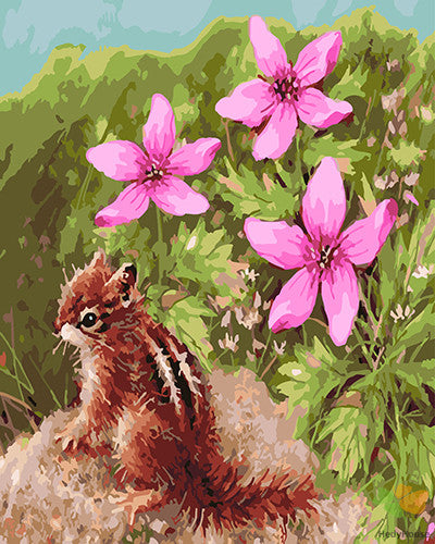 Flower Paint By Numbers Kits UK GX27672