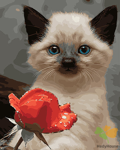 Cat & Dog Paint By Numbers Kits UK GX27673