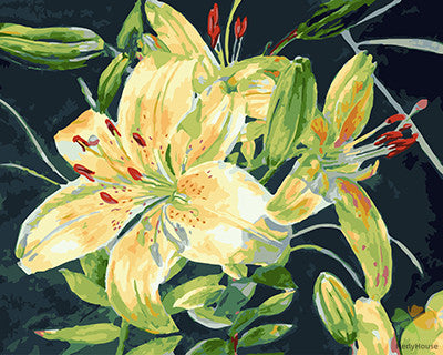 Flower Paint By Numbers Kits UK GX27691