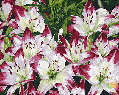 Flower Paint By Numbers Kits UK GX27692