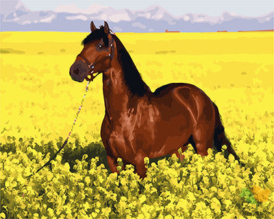 Animal Paint By Numbers Kits UK GX27705