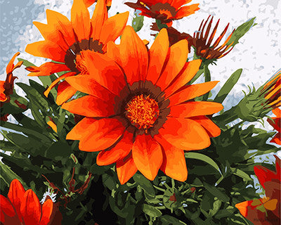 Flower Paint By Numbers Kits UK GX27706