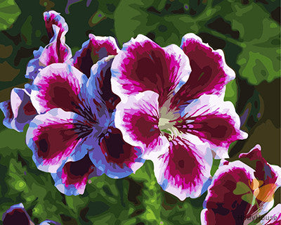 Flower Paint By Numbers Kits UK GX27707