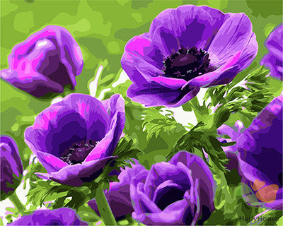 Flower Paint By Numbers Kits UK GX27709