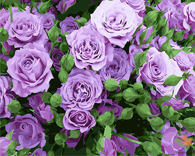 Flower Paint By Numbers Kits UK GX27713