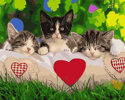 Cat & Dog Paint By Numbers Kits UK GX27736