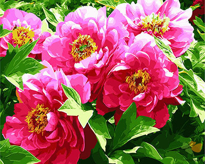 Flower Paint By Numbers Kits UK GX27740