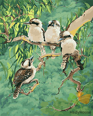 Birds Paint By Numbers Kits UK GX27760