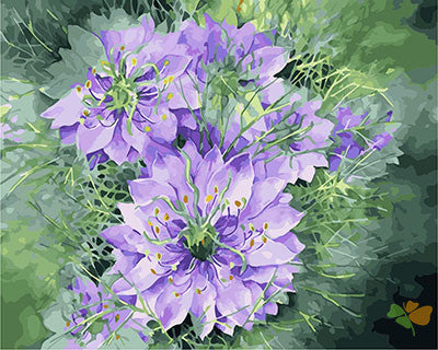 Flower Paint By Numbers Kits UK GX27761