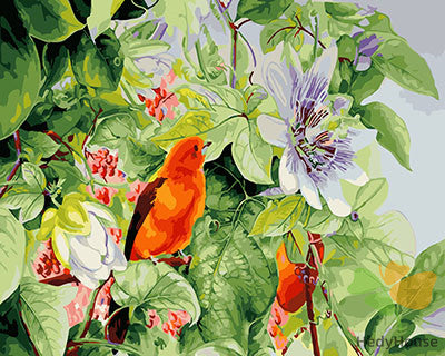 Birds Paint By Numbers Kits UK GX27780