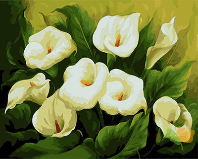 Flower Paint By Numbers Kits UK GX27810