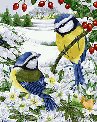 Birds Paint By Numbers Kits UK GX27890