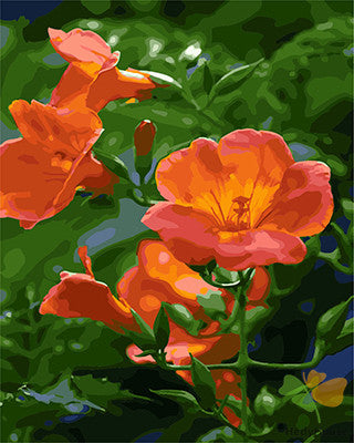 Flower Paint By Numbers Kits UK GX27892