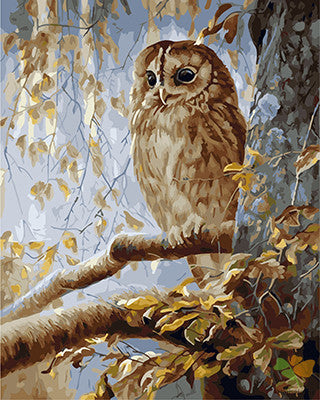 Animal Paint By Numbers Kits UK GX27902