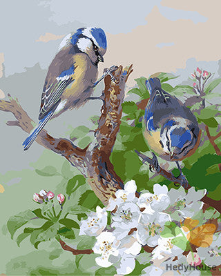 Bird Paint By Numbers Kits UK
