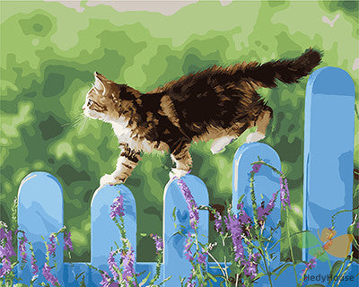 Cat & Dog Paint By Numbers Kits UK GX27909