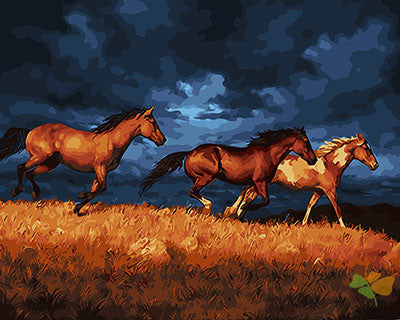 Animal Paint By Numbers Kits UK GX27928