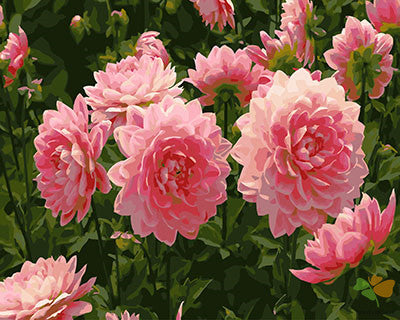 Flower Paint By Numbers Kits UK GX27950