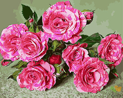 Flower Paint By Numbers Kits UK GX28044