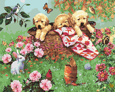 Cat & Dog Paint By Numbers Kits UK GX28054