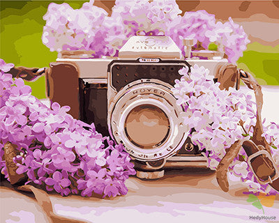 Flower Paint By Numbers Kits UK GX28055