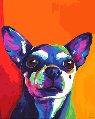 Colorful Paint By Numbers Kits UK GX28081