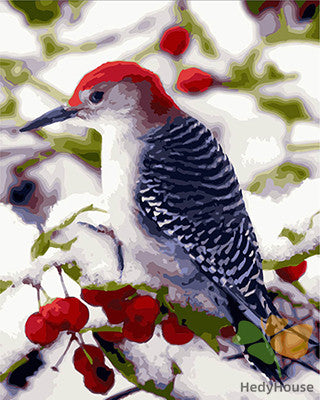 Birds Paint By Numbers Kits UK GX28082