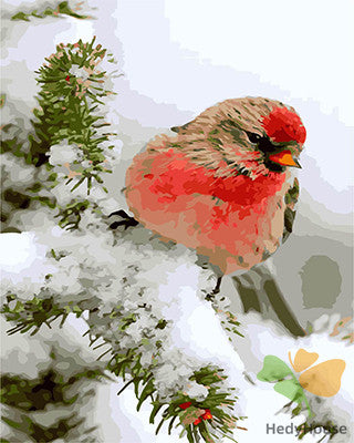 Birds Paint By Numbers Kits UK GX28088