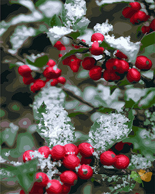 Still Life Paint By Numbers Kits UK GX28104