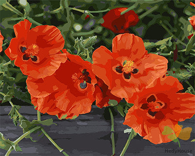 Flower Paint By Numbers Kits UK GX28105