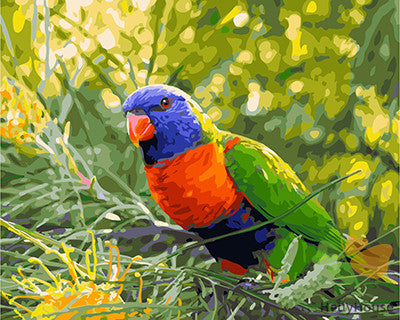 Birds Paint By Numbers Kits UK GX28117