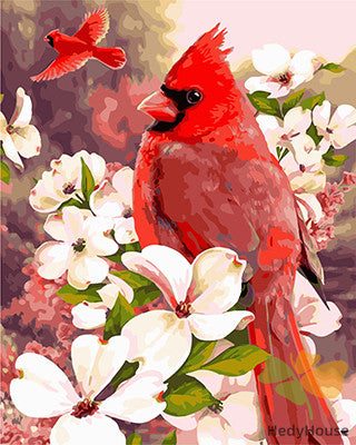 Birds Paint By Numbers Kits UK GX28126