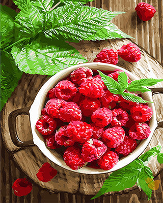 Still Life Paint By Numbers Kits UK GX28158