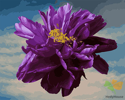 Flower Paint By Numbers Kits UK GX28251