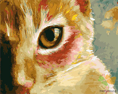 Cat & Dog Paint By Numbers Kits UK GX28289